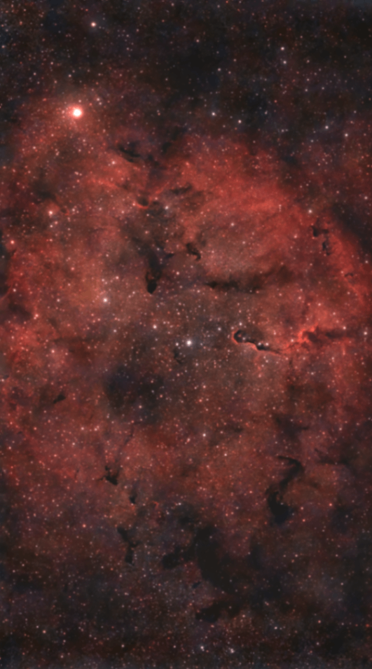 The Elephants Trunk Nebula (IC 1386)